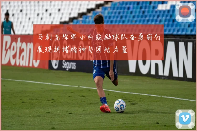 马刺克绿军小白鼓励球队奋勇前行展现拼搏精神与团结力量