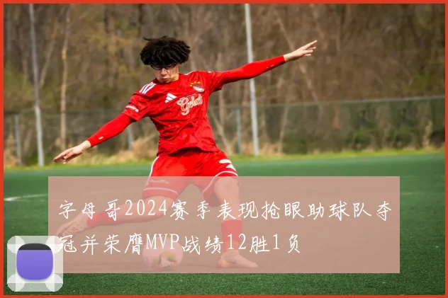 字母哥2024赛季表现抢眼助球队夺冠并荣膺MVP战绩12胜1负