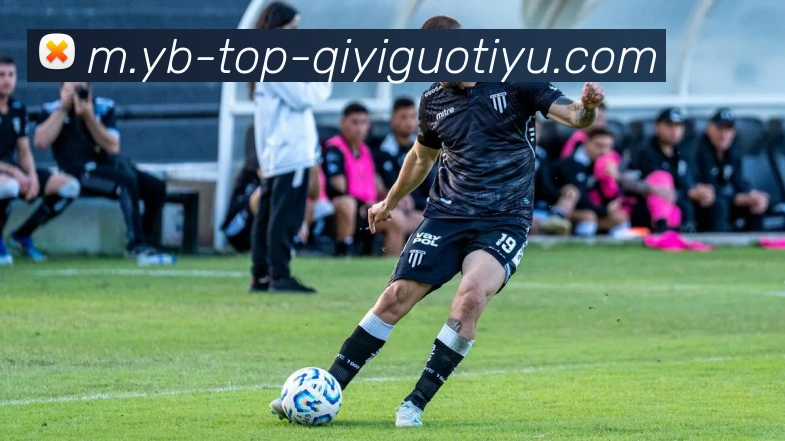 奇异果体育平台生态图