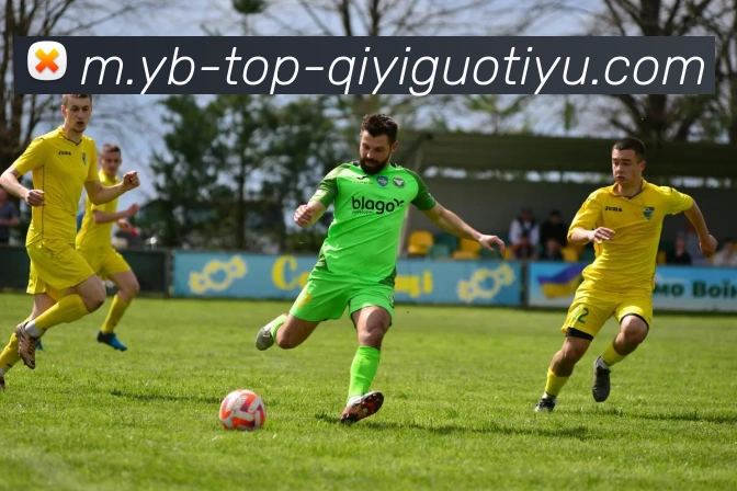 奇异果体育APP 封面图